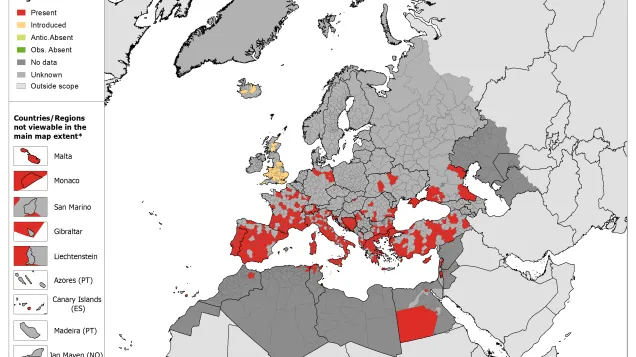 Rhipicephalus sanguineus - current known distribution: October 2020