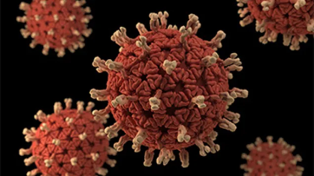 Rotavirus. Credit: CDC/ Jessica A. Allen