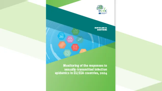 STI monitoring report cover