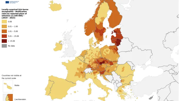 Notification rates of locally acquired cases reported for 2019-2023