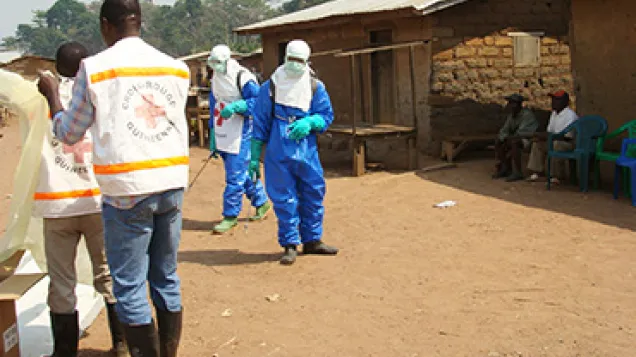 Threats and outbreaks - From the field