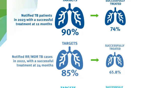 Tuberculosis treatment outcomes in the European Region, 2024