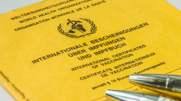 Vaccination highlight