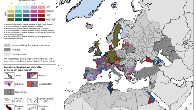 Invasive mosquito surveillance effort over 2015–2019