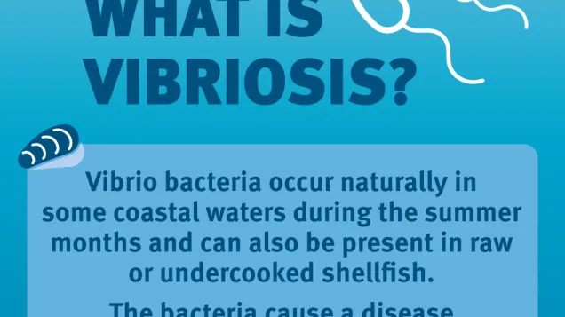 What is vibriosis?