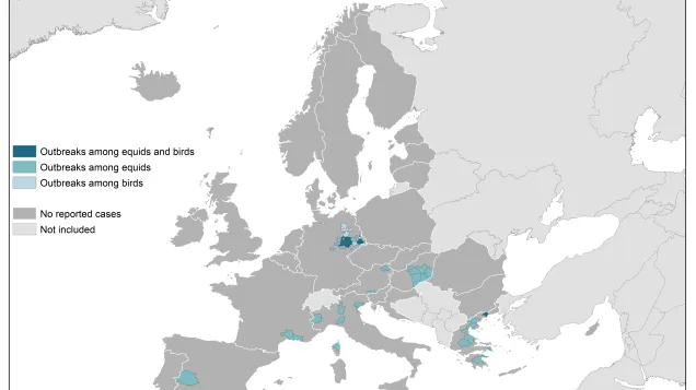 West Nile virus outbreaks among equids and birds in the European Union, 2018 transmission season, 2019 transmission season