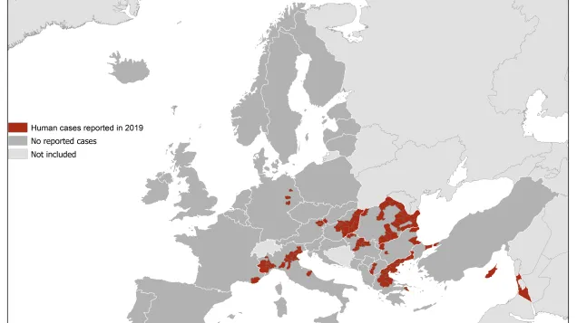 West Nile virus infections in humans in the EU/EEA Member States and EU neighbouring countries, 2019 transmission season