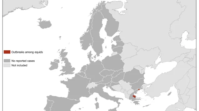 West Nile virus in Europe in 2019 - equine cases, updated 18 July