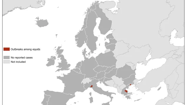 West Nile virus in Europe in 2019 - equine cases, updated 1 August
