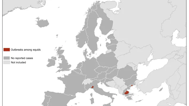 West Nile virus in Europe in 2019 - equine cases, updated 15 August