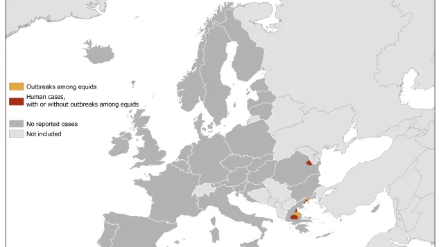 West Nile virus in Europe in 2019 - human and equine cases, updated 18 July