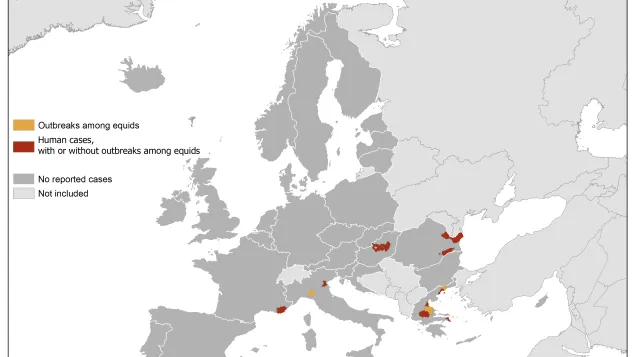 West Nile virus in Europe in 2019 - human and equine cases, updated 1 August