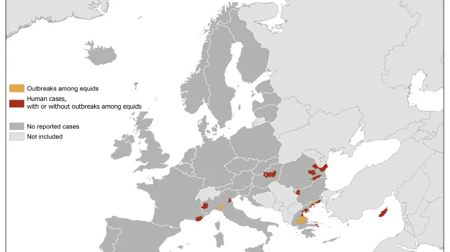 West Nile virus in Europe in 2019 - human and equine cases, updated 15 August