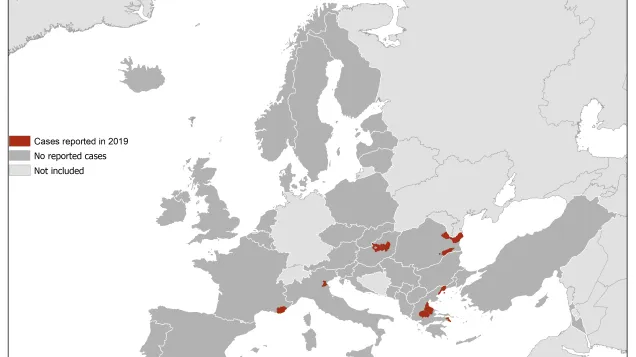West Nile virus in Europe in 2019 - human cases, updated 1 August