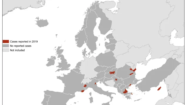 West Nile virus in Europe in 2019 - human cases, updated 8 August