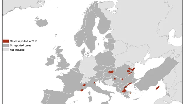 West Nile virus in Europe in 2019 - human cases, updated 15 August