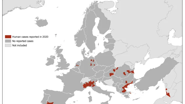 West Nile virus infections in humans, 2020 transmission season