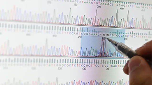 Whole gnome sequencing. © Istock