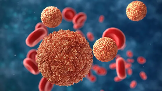 Artwork of zika virus in blood. © Istock