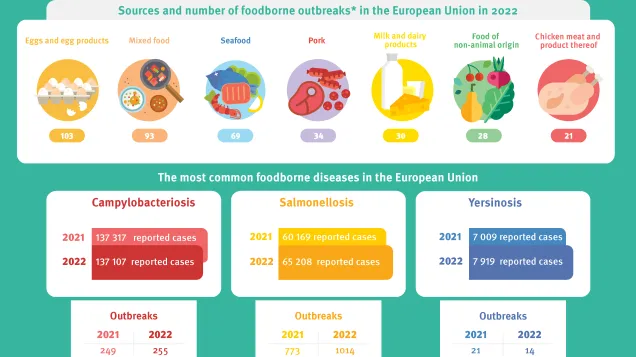 Food safety infographic