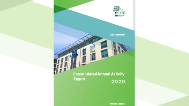 Cover of the report: "Consolidated Annual Activity Report"