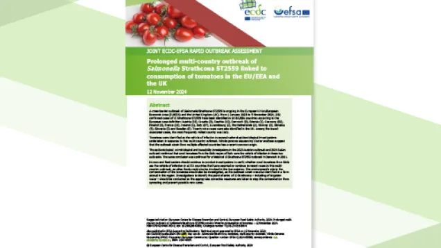 Cover of rapid outbreak assessment