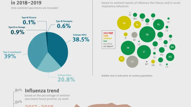 Weekly influenza update, week 2, January 2019