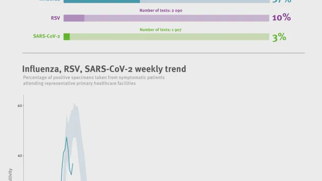 Weekly respiratory virus update, week 4, January 2026