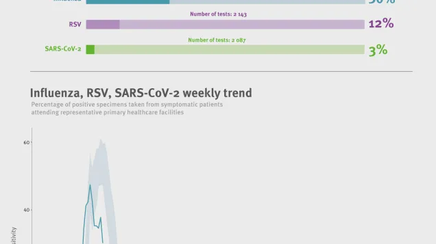 Weekly respiratory virus update, week 6, January 2026