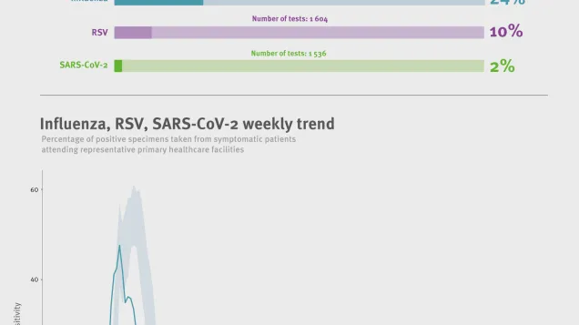Weekly respiratory virus update, week 8, February 2026