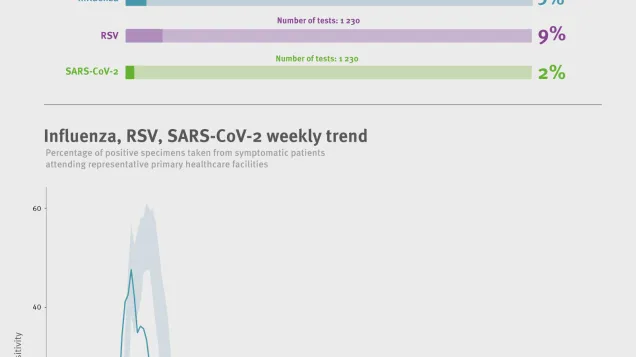 Weekly respiratory virus update, week 12, March 2026
