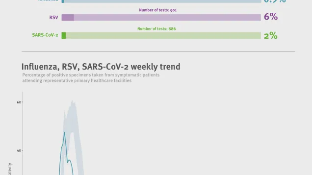 Weekly respiratory virus update, week 16, April 2026