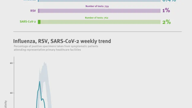 Weekly respiratory virus update, week 20, May 2026
