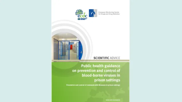Cover of the public health guidance on prevention and control of blood-borne viruses in prison settings