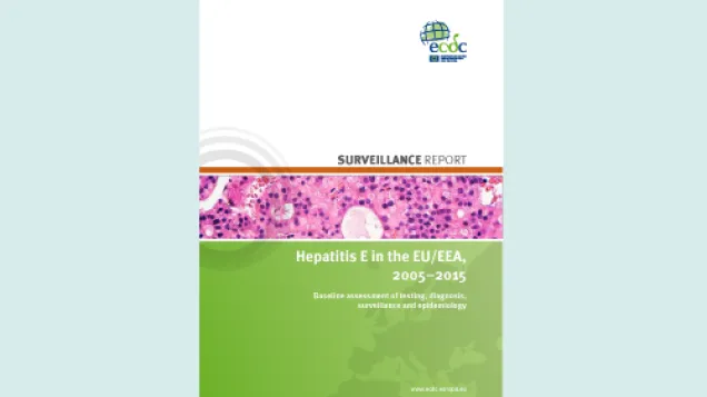 Cover of hepatitis E surveillance report