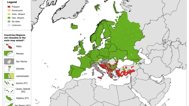 Phlebotomus neglectus - current known distribution: July 2019