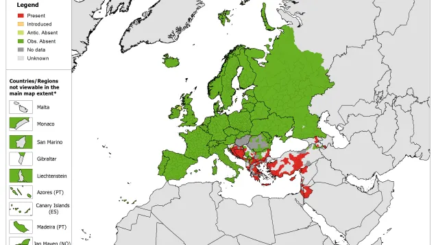 Phlebotomus tobbi - current known distribution: July 2019