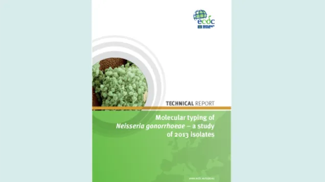 Cover of the technical report on Molecular typing of Neisseria gonorrhoeae – a study of 2013 isolates