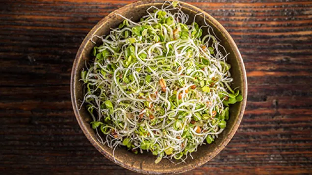 Sprouts