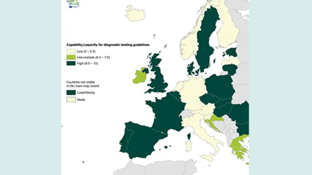 Thumbnail - Target 1.2 - Diagnostic testing guidelines 2018