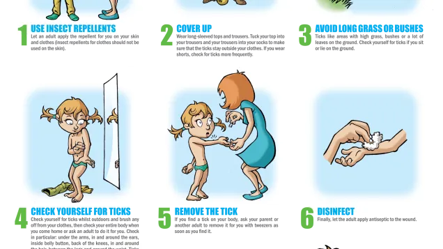 Poster on ticks for school children living in endemic areas​​