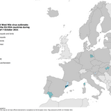 West Nile virus in Europe in 2021 - outbreaks among equids and/or birds, updated 7 October 2021