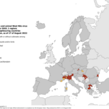 West Nile virus in Europe in 2022 - infections among humans and outbreaks among equids and/or birds, updated 17 August 2022