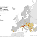 West Nile virus in Europe in 2022 - human cases compared to previous seasons, updated 17 August 2022