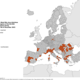 West Nile virus - human cases compared to previous seasons, 6 December 2023