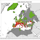 Aedes albopictus - current known distribution: March 2022