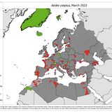 Aedes caspius - current known distribution: March 2022