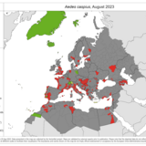 Aedes caspius - current known distribution: August 2023