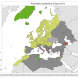 Anopheles superpictus - current known distribution: August 2023