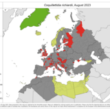 Coquillettidia richiardii - current known distribution: August 2023